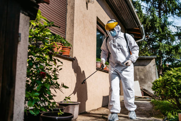 Best Termite Control Services  in Goshen, KY