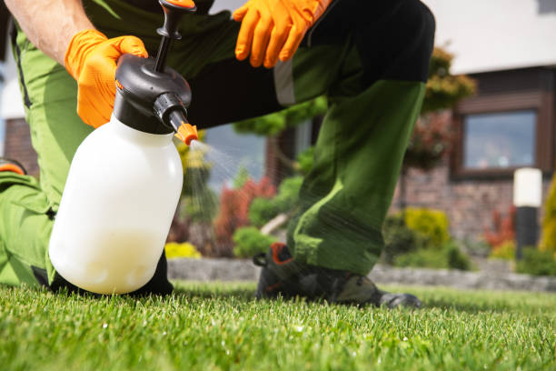 Best Affordable Pest Control Services  in Goshen, KY