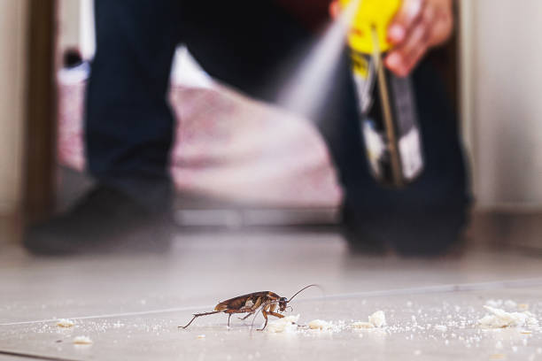 Best Emergency Pest Control  in Goshen, KY